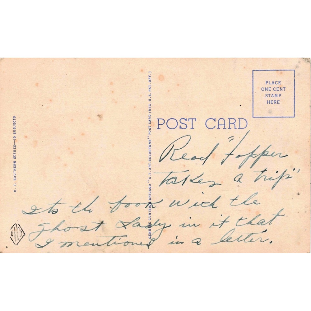 Black Americana Linen Postcard Aunt Venus Hunting Curt Teich S-530 1946 - Picture 2 of 2